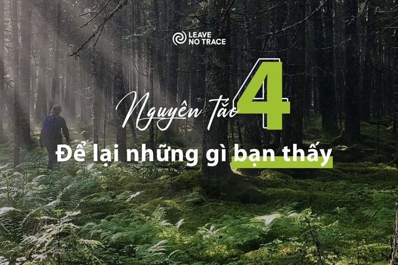 [Leave No Trace] Nguyên tắc 4: Để lại những gì bạn thấy