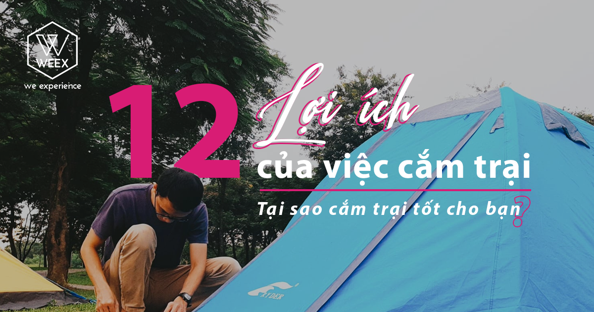 12 Lợi ích của việc cắm trại | Tại sao cắm trại tốt cho bạn?