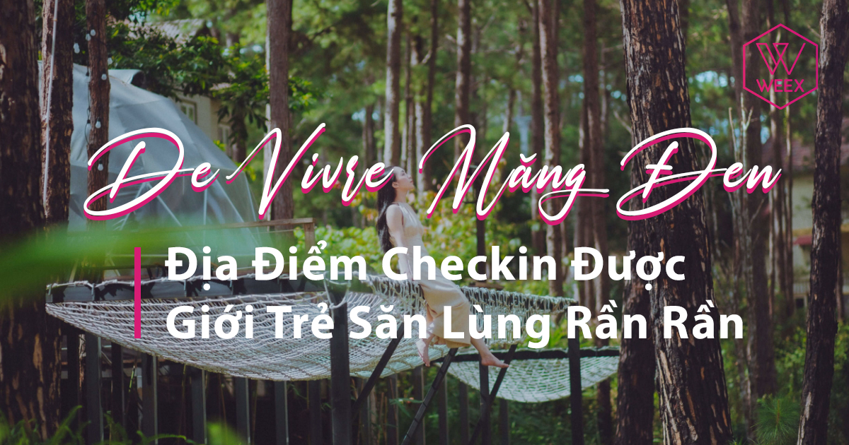 De Vivre Măng Đen - Địa Điểm Checkin Được Giới Trẻ Săn Lùng Rần Rần 