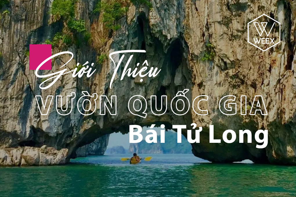 Giới thiệu vườn quốc gia Bái Tử Long