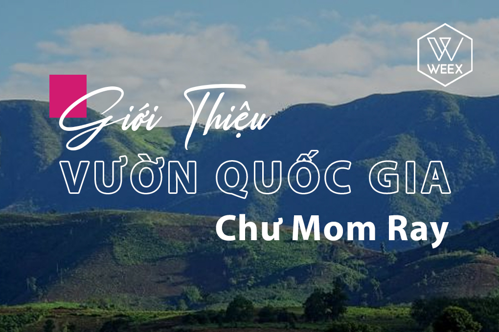 Giới thiệu Vườn Quốc Gia Chư Mom Ray