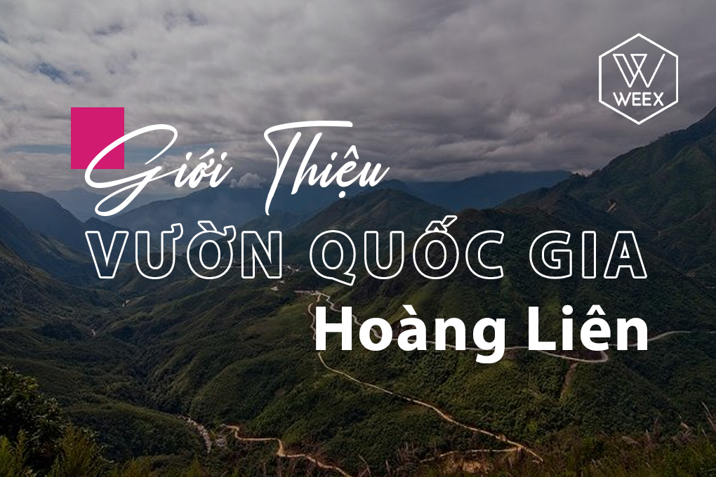 Giới thiệu vườn quốc gia Hoàng Liên
