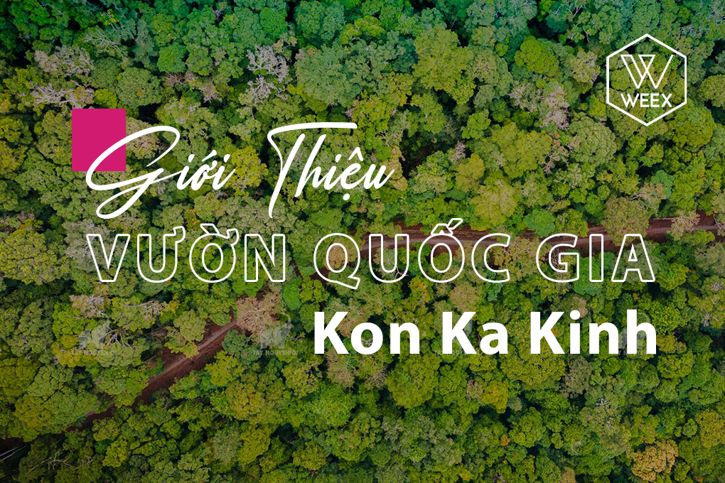 Giới thiệu vườn quốc gia Kon Ka Kinh