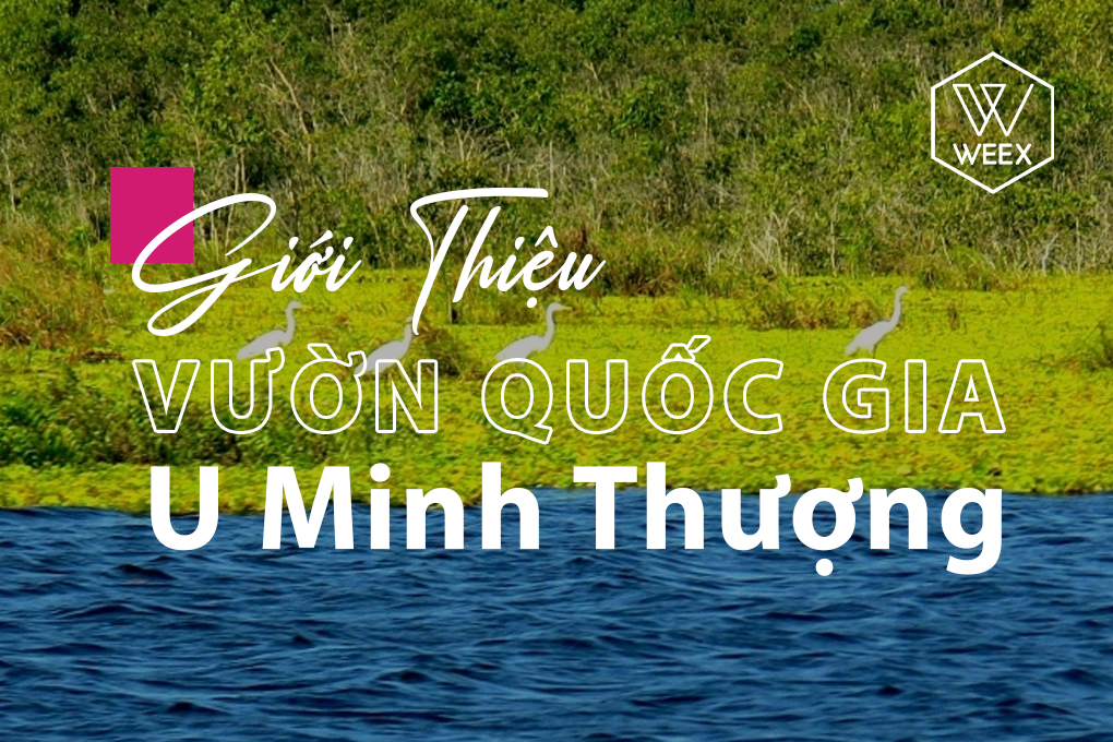Giới thiệu vườn quốc gia U Minh Thượng