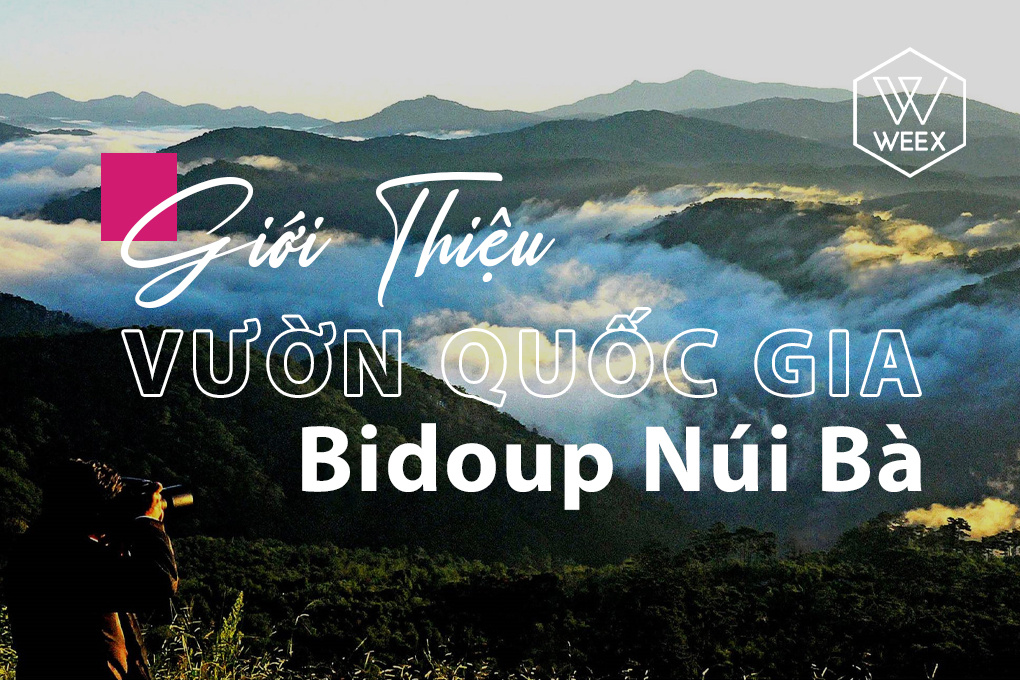 Giới thiệu Vườn Quốc Gia Bidoup Núi Bà