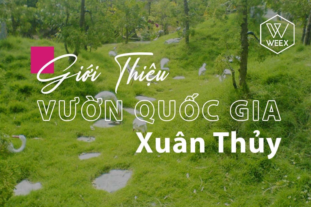 Giới thiệu vườn quốc gia Xuân Thủy