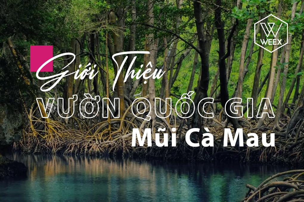 Giới thiệu về Vườn quốc gia Mũi Cà Mau