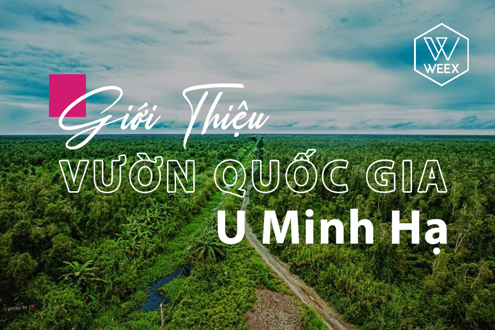 Giới thiệu Vườn quốc gia U Minh Hạ