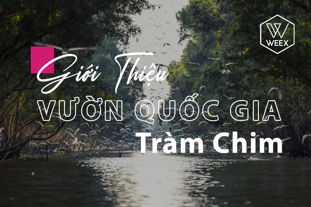 Giới thiệu Vườn quốc gia Tràm Chim