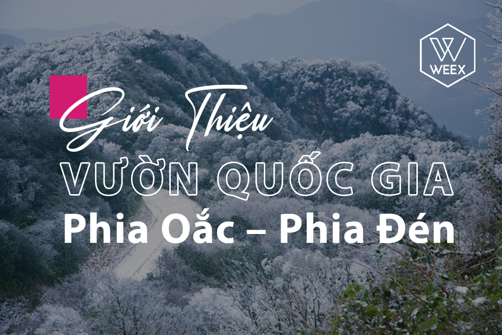 Giới thiệu Vườn quốc gia Phia Oắc – Phia Đén