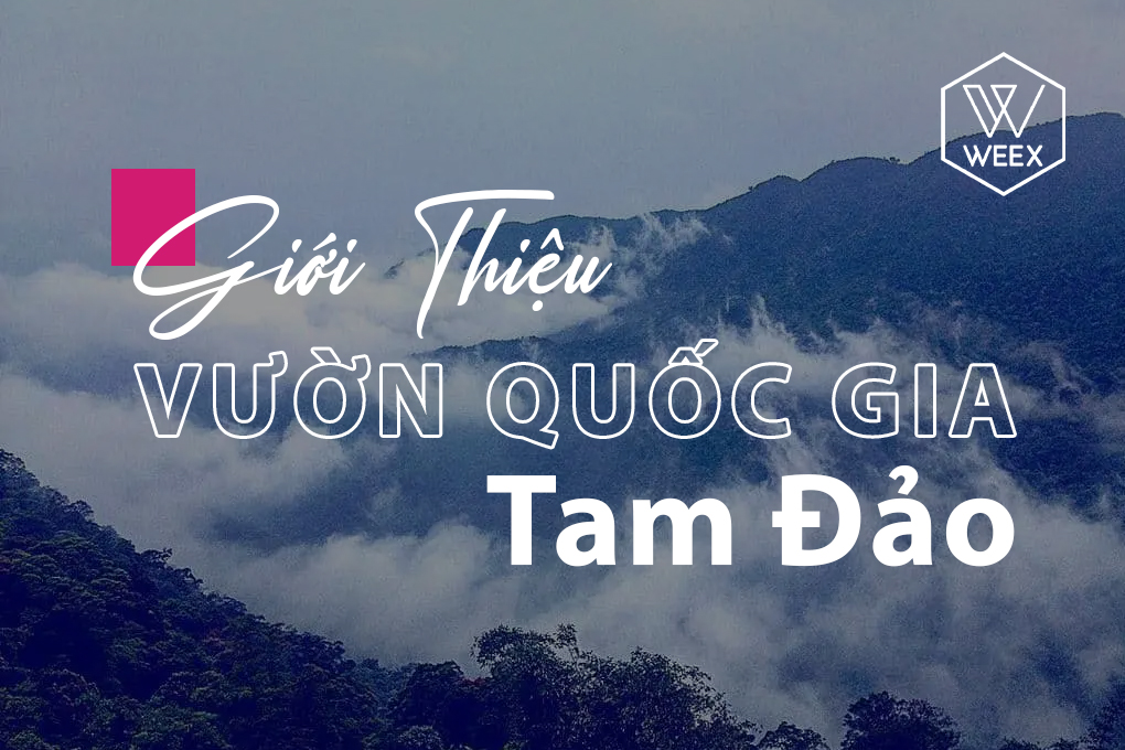 Giới thiệu Vườn quốc gia Tam Đảo