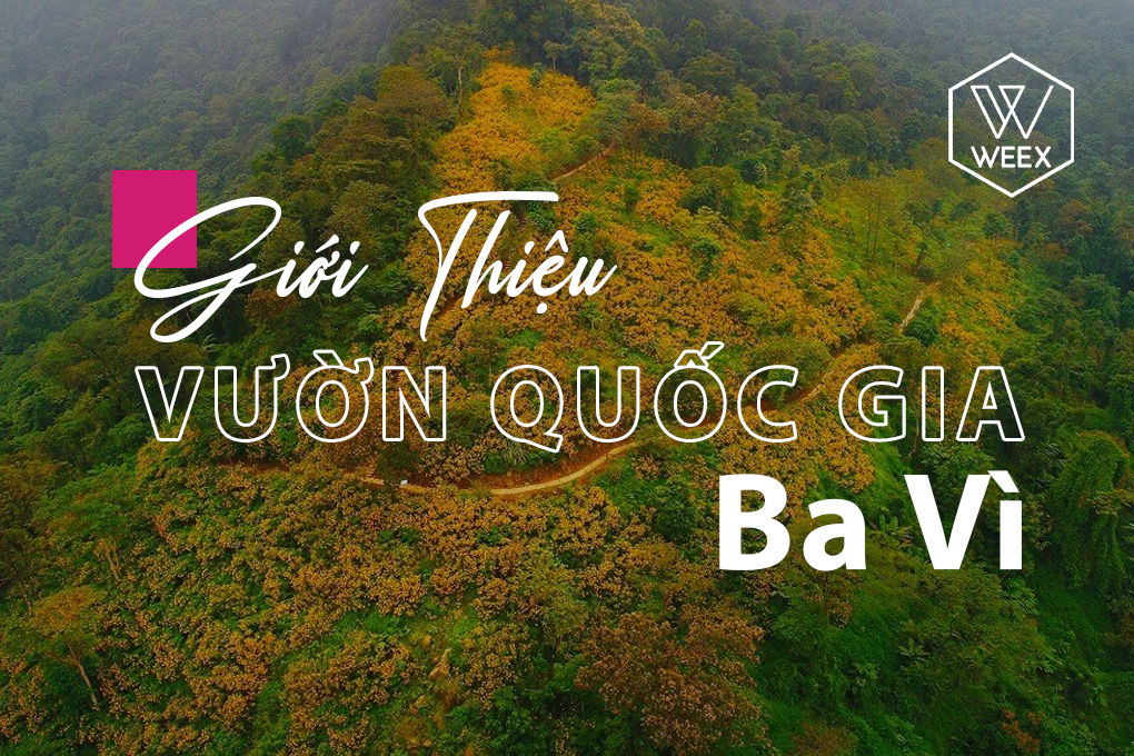Giới thiệu Vườn quốc gia Ba Vì