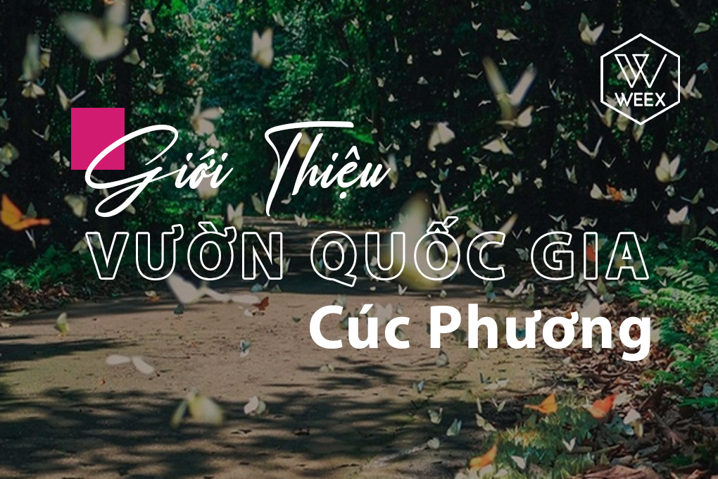Giới thiệu Vườn quốc gia Cúc Phương