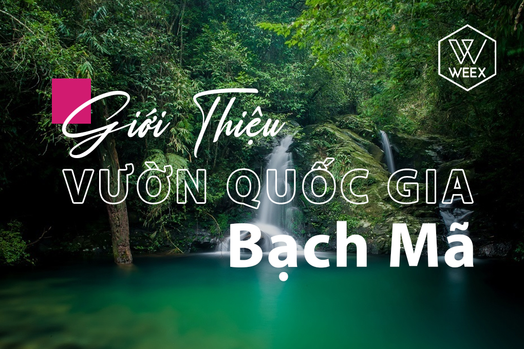 Giới thiệu Vườn quốc gia Bạch Mã