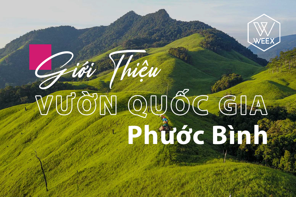 Giới thiệu Vườn quốc gia Phước Bình