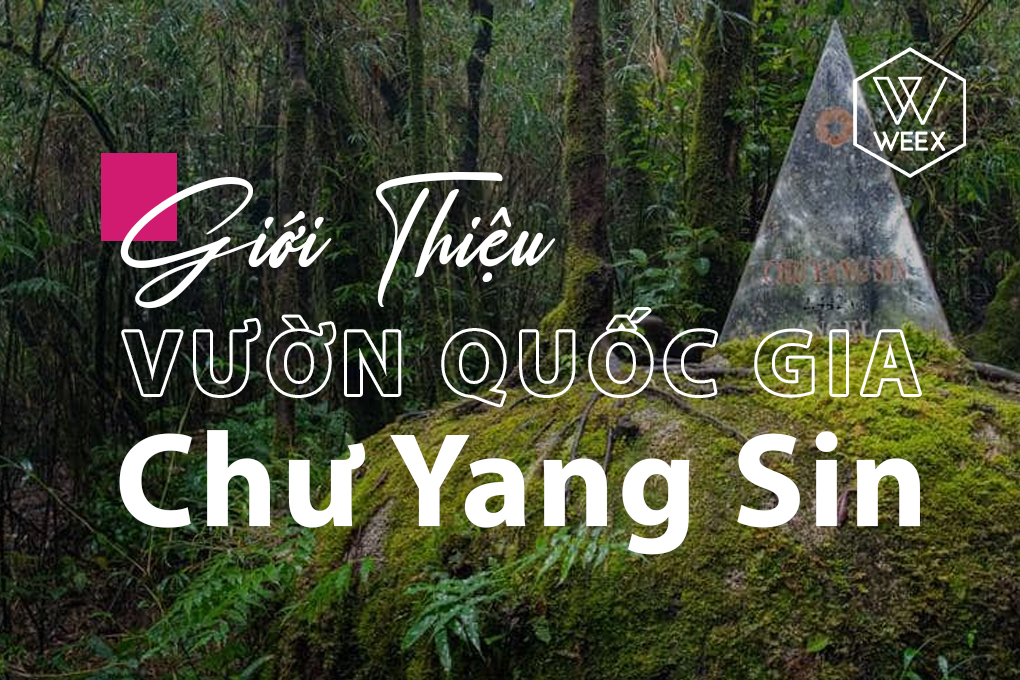 Giới thiệu Vườn quốc gia Chư Yang Sin
