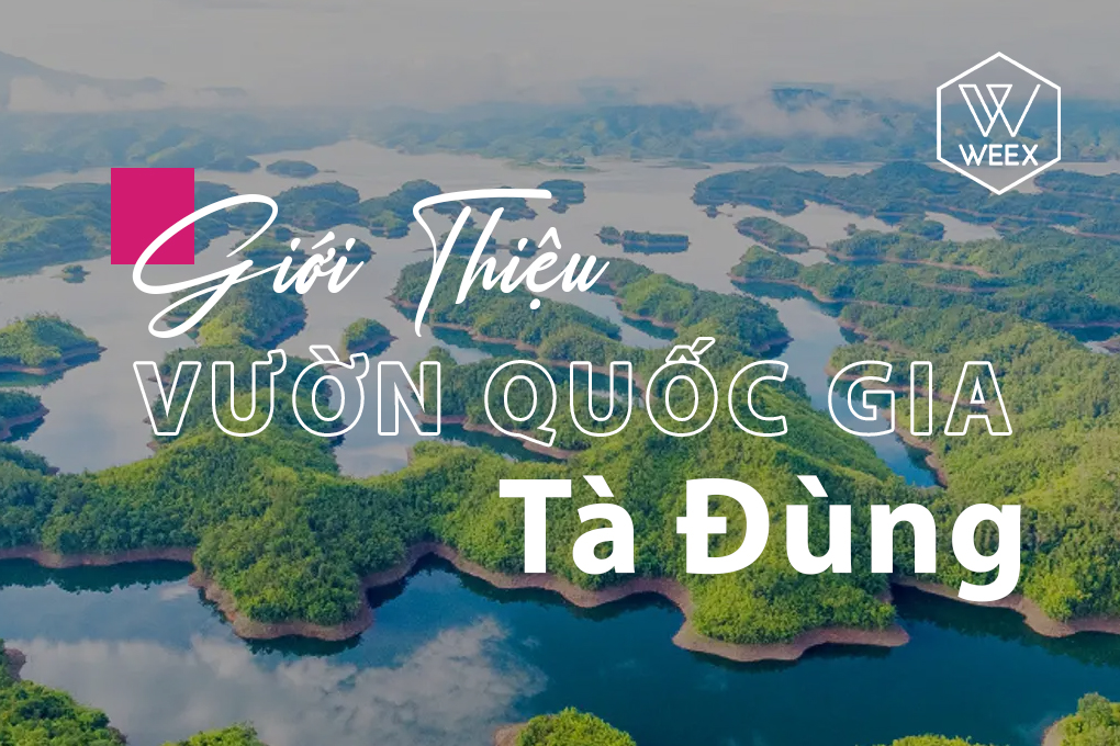 Giới thiệu Vườn quốc gia Tà Đùng