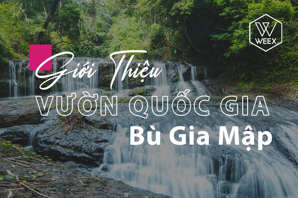 Giới thiệu Vườn quốc gia Bù Gia Mập
