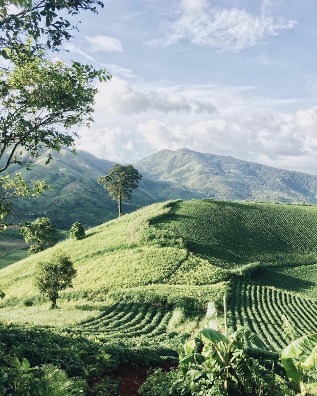 Bí quyết du hí Tây Nguyên dành cho giới trẻ