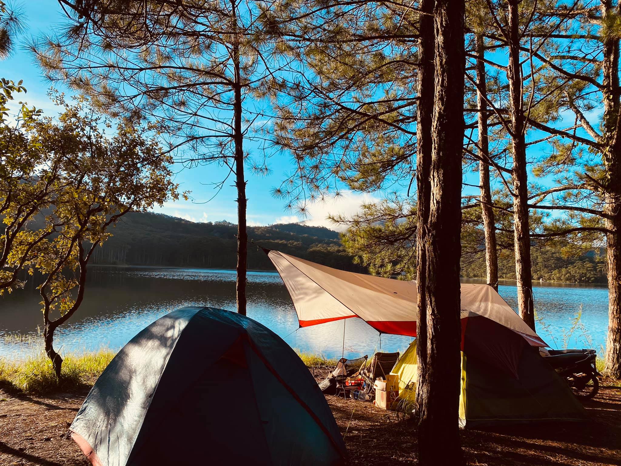 Dalat Camp - 1 Đêm Glamping Giữa Thung Lũng Tuyệt Đẹp