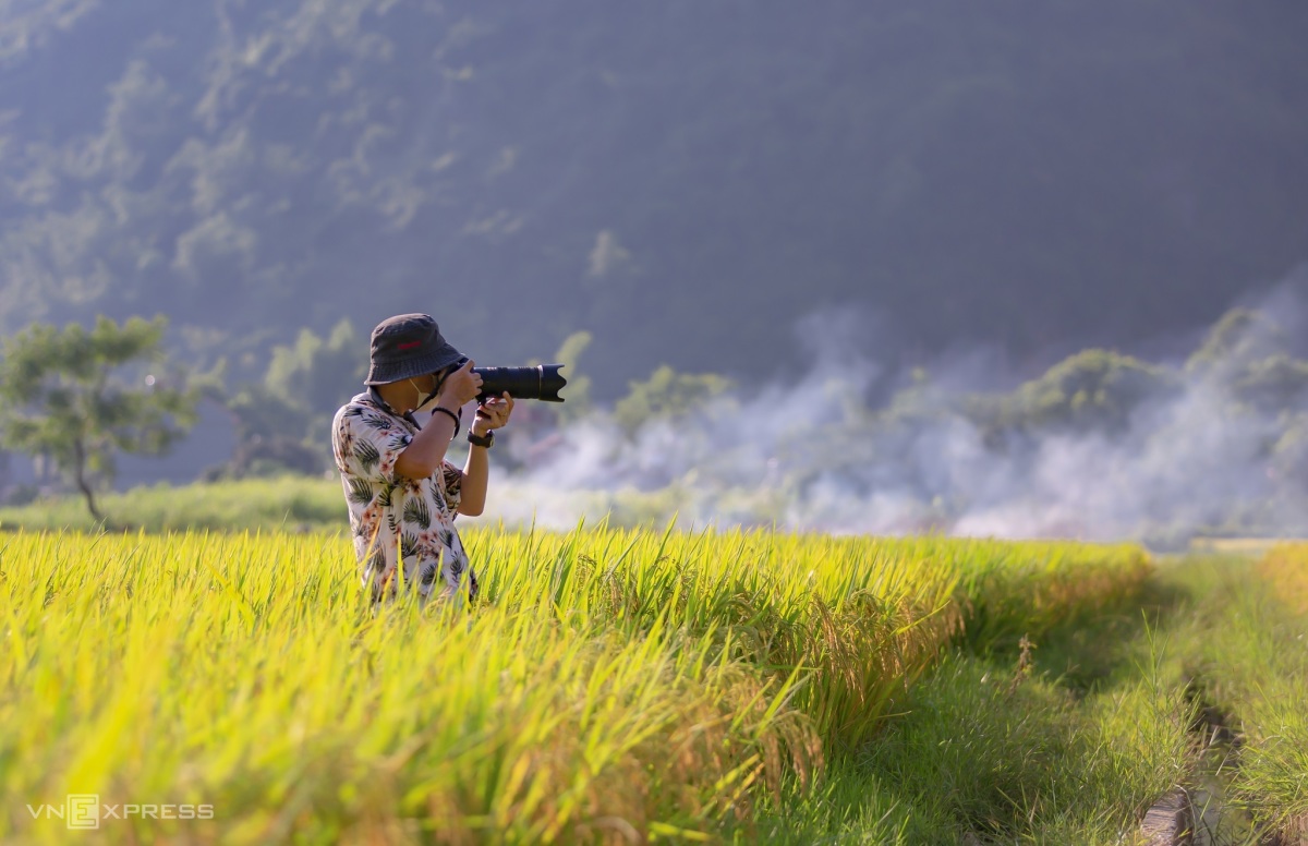 Mùa lúa chín vùng cao trong ấn tượng người làm du lịch