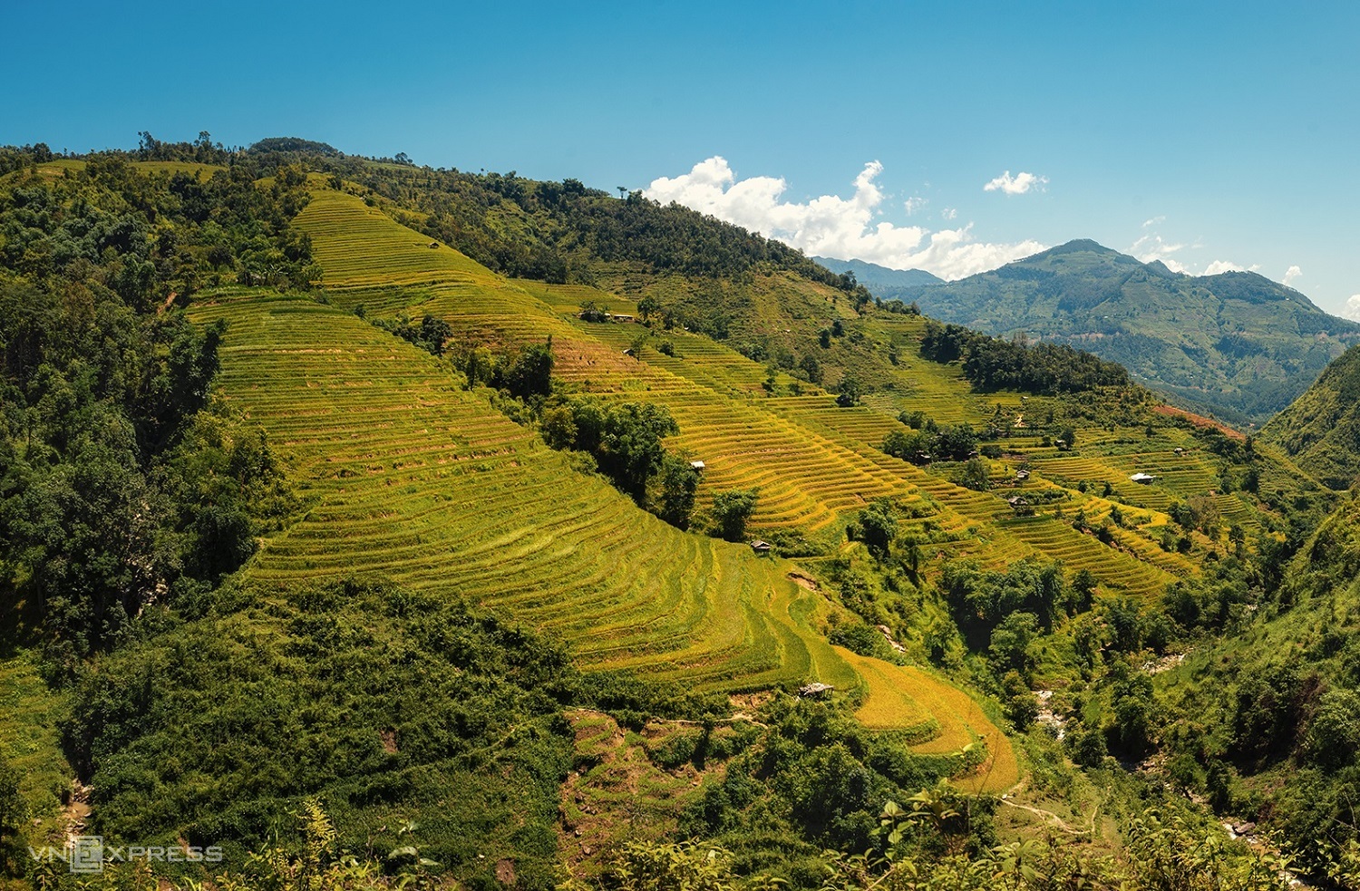 Mùa lúa chín vùng cao trong ấn tượng người làm du lịch