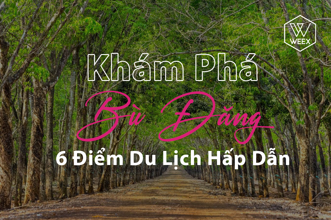 Khám Phá Bù Đăng - 6 Điểm Du Lịch Hấp Dẫn Tại Vùng Đất Đầy Nét Đẹp Bình Phước