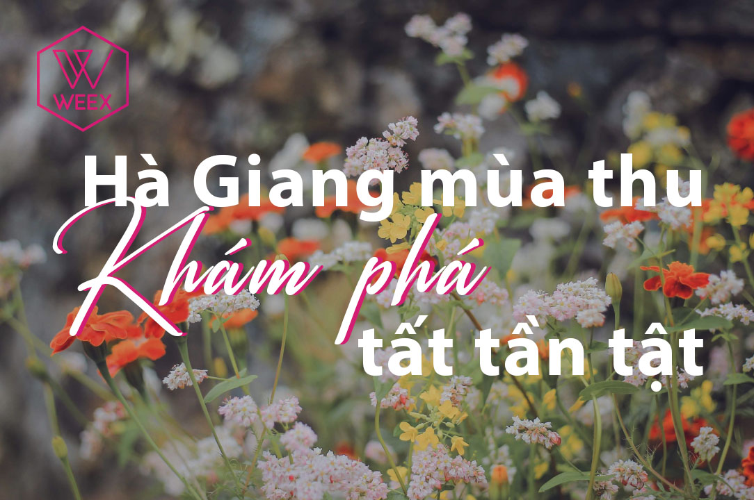 Hà Giang Mùa Thu: Khám Phá Tất Tần Tật