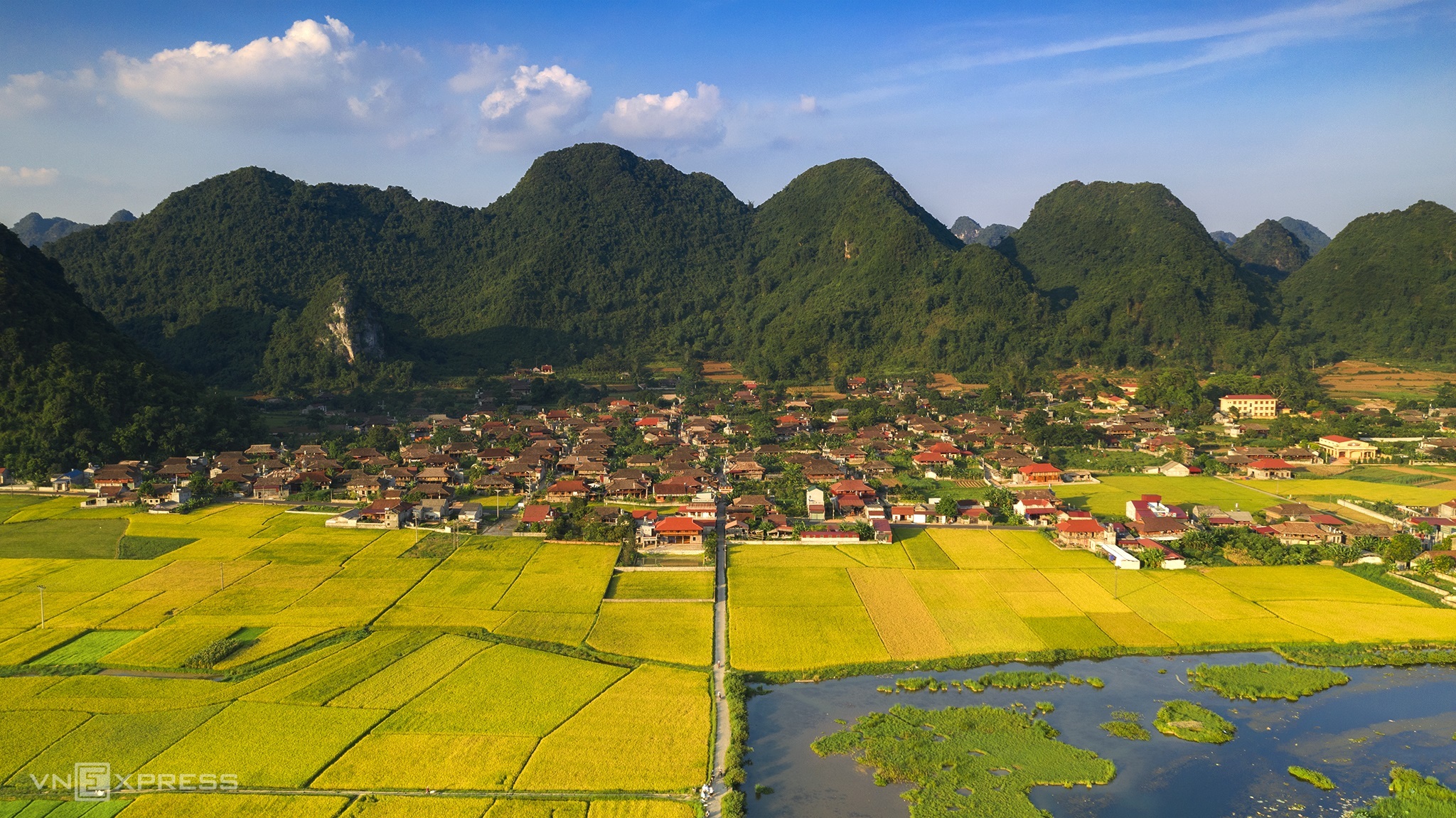 Mùa lúa chín vùng cao trong ấn tượng người làm du lịch