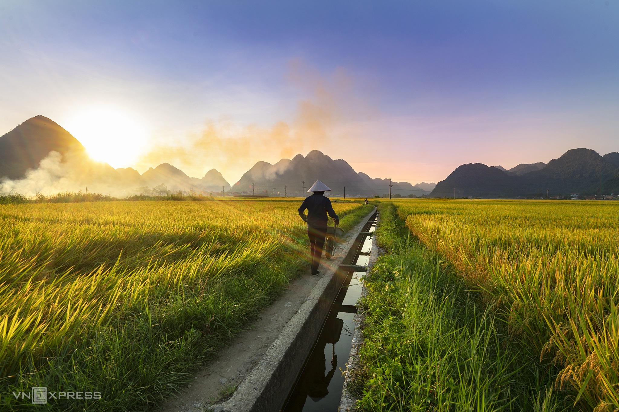 Mùa lúa chín vùng cao trong ấn tượng người làm du lịch