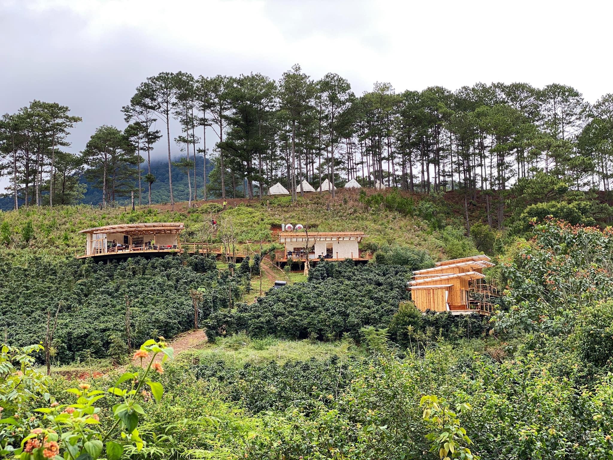 Twin Beans Farm - Địa Điểm Glamping Sống Chậm Giữa Nông Trại Cà Phê Siêu Hot