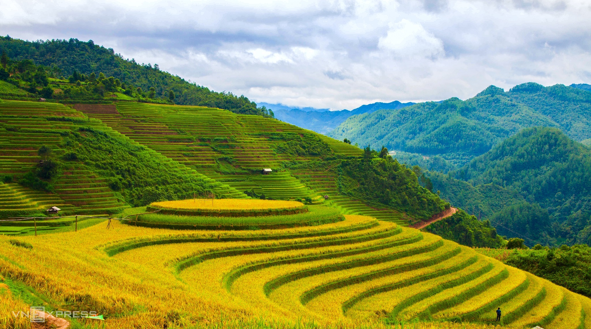 Mùa lúa chín vùng cao trong ấn tượng người làm du lịch