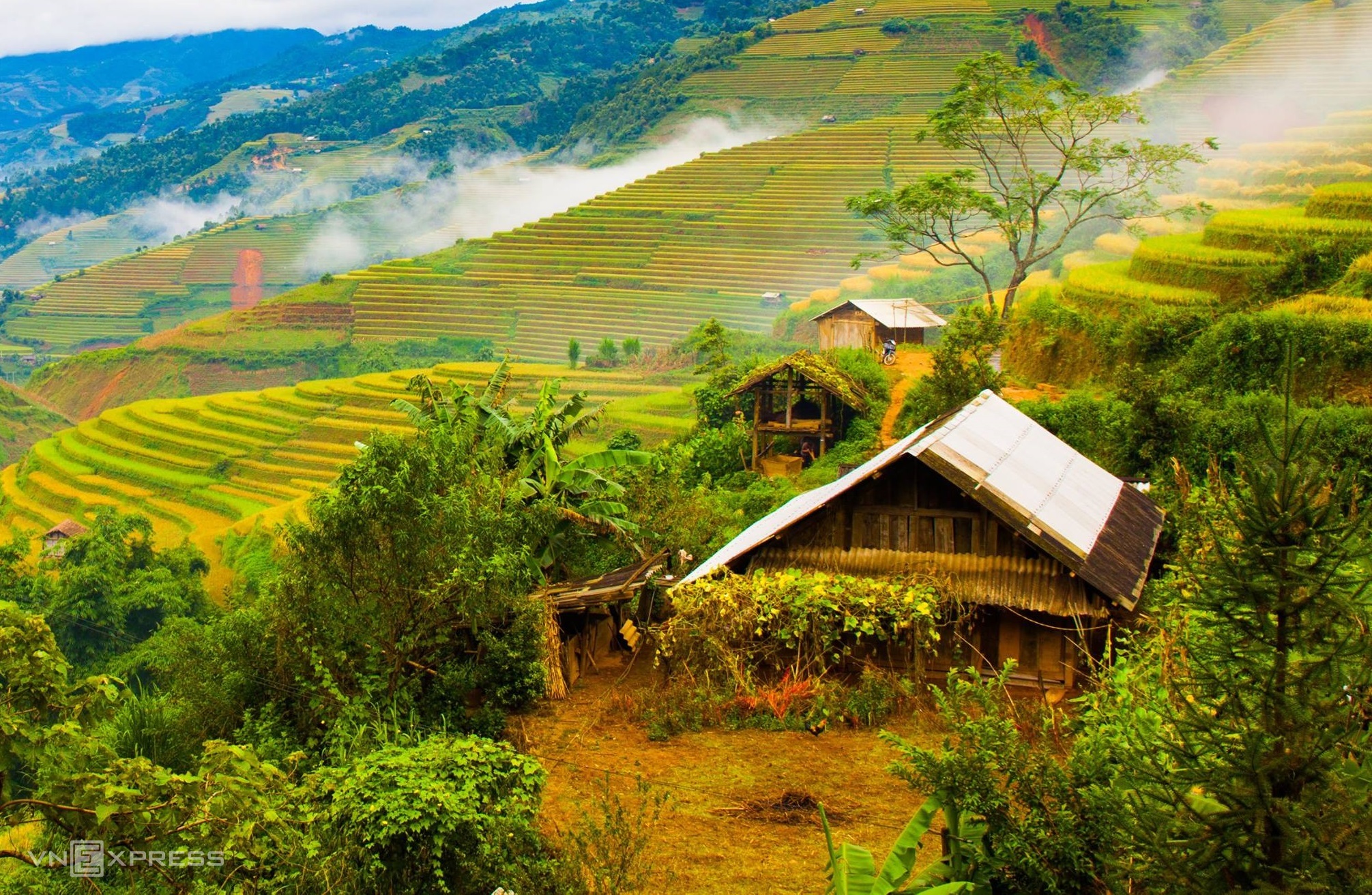 Mùa lúa chín vùng cao trong ấn tượng người làm du lịch