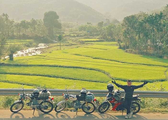 Cánh đồng lúa chín vàng đẹp mê ly trên cung đường dẫn lên đèo Violắc