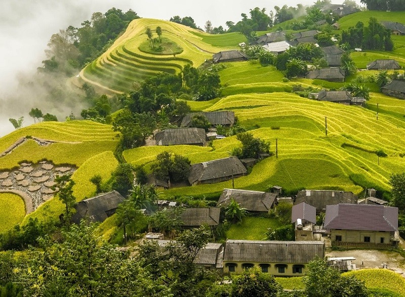 Hà Giang Mùa Thu: Khám Phá Tất Tần Tật