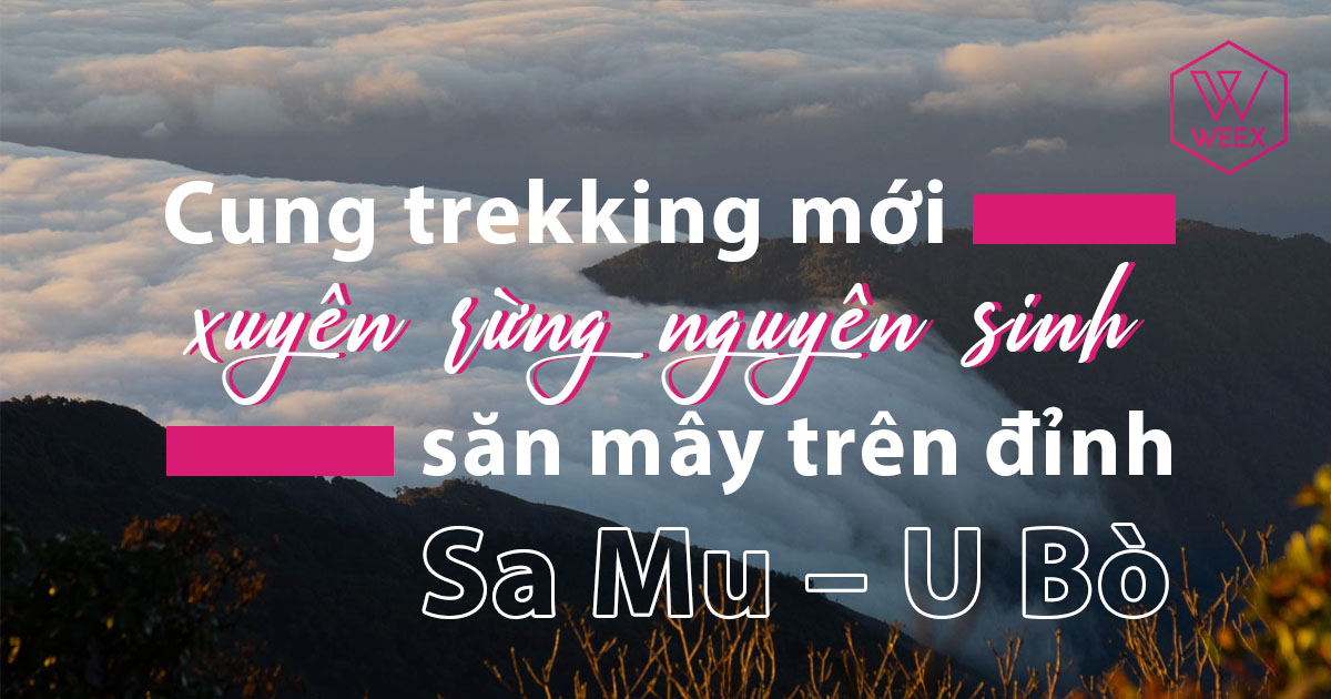 Cung Trekking Mới Xuyên Rừng Nguyên Sinh, Săn Mây Trên Đỉnh Sa Mu – U Bò