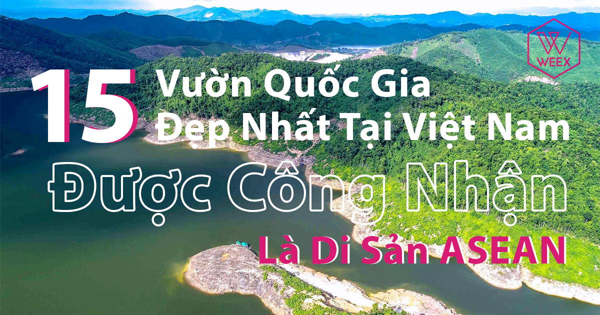 Tổng Hợp 15 Vườn Quốc Gia Đẹp Nhất Tại Việt Nam Được Công Nhận Là Di Sản ASEAN