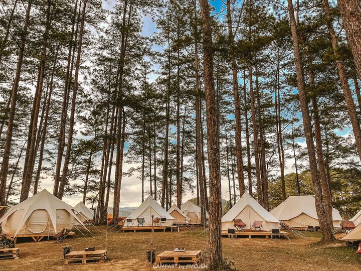 CampArt by Mợ Jen - Glamping Siêu Chill tại Thung Lũng Vàng