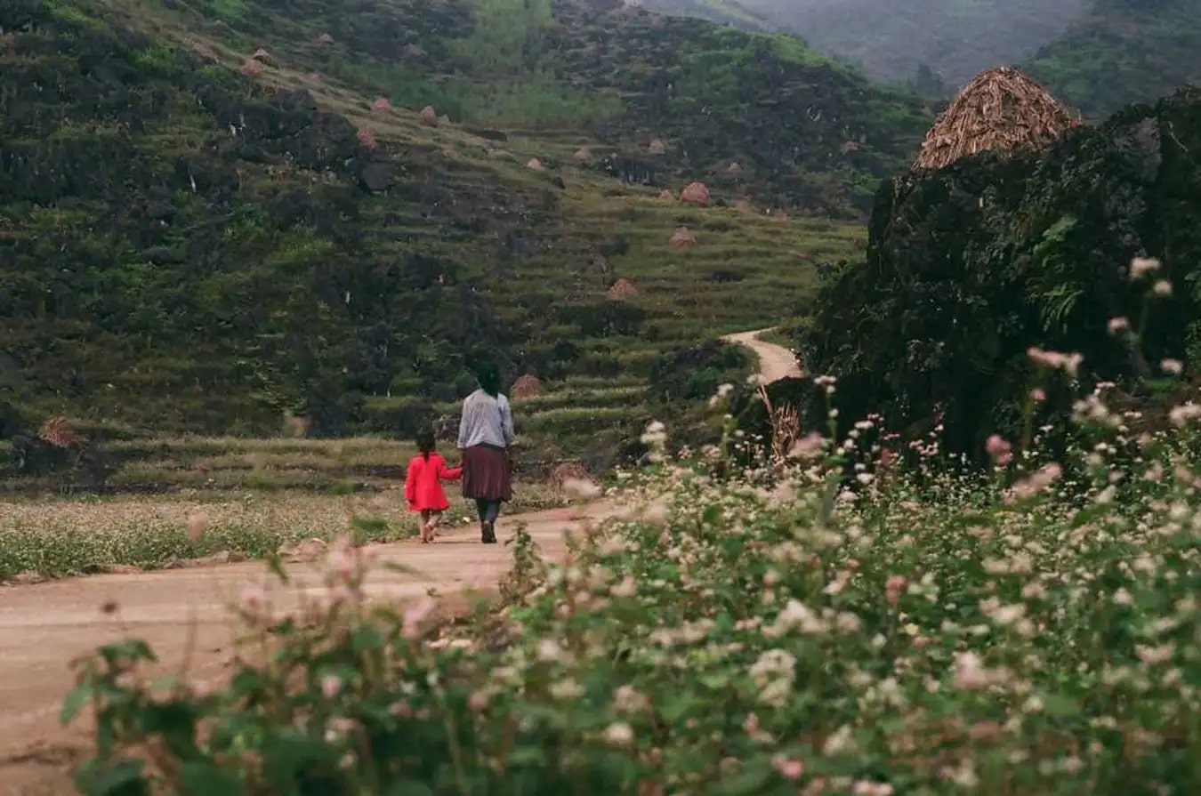 Hà Giang Mùa Thu: Khám Phá Tất Tần Tật