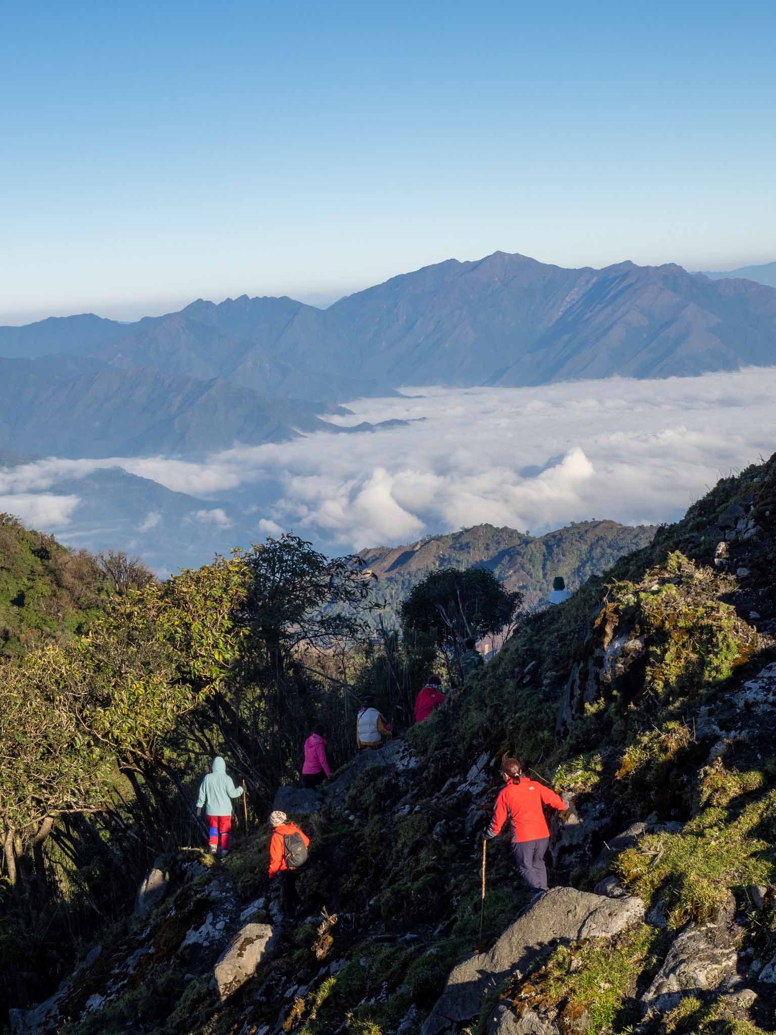 Cung Trekking Mới Xuyên Rừng Nguyên Sinh, Săn Mây Trên Đỉnh Sa Mu – U Bò