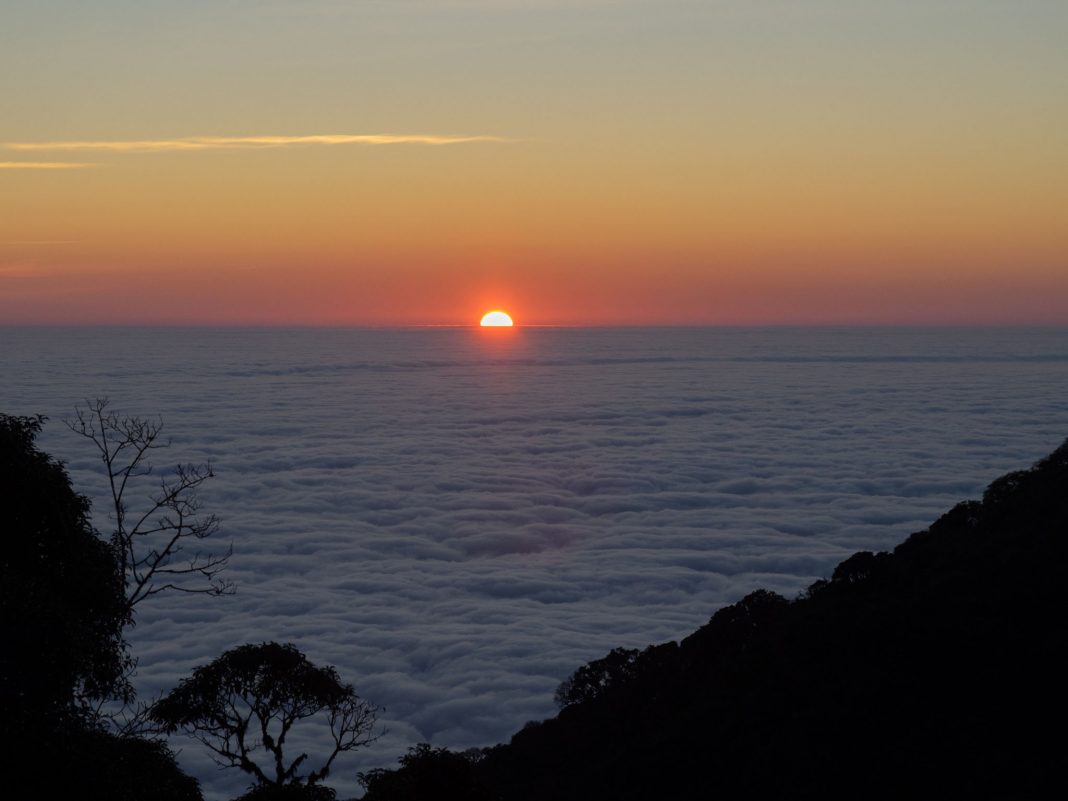 Cung Trekking Mới Xuyên Rừng Nguyên Sinh, Săn Mây Trên Đỉnh Sa Mu – U Bò