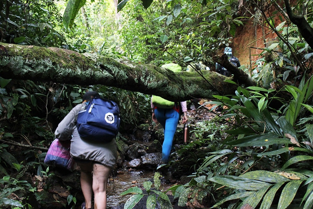 Kinh nghiệm đi trekking thác K50 - Kbang Gia Lai chi tiết nhất