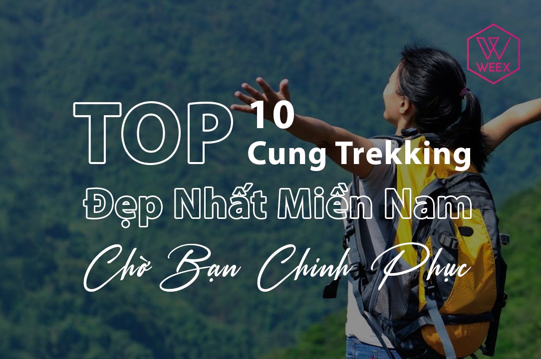 Top 10 Cung Trekking Đẹp Nhất Miền Nam Chờ Bạn Chinh Phục