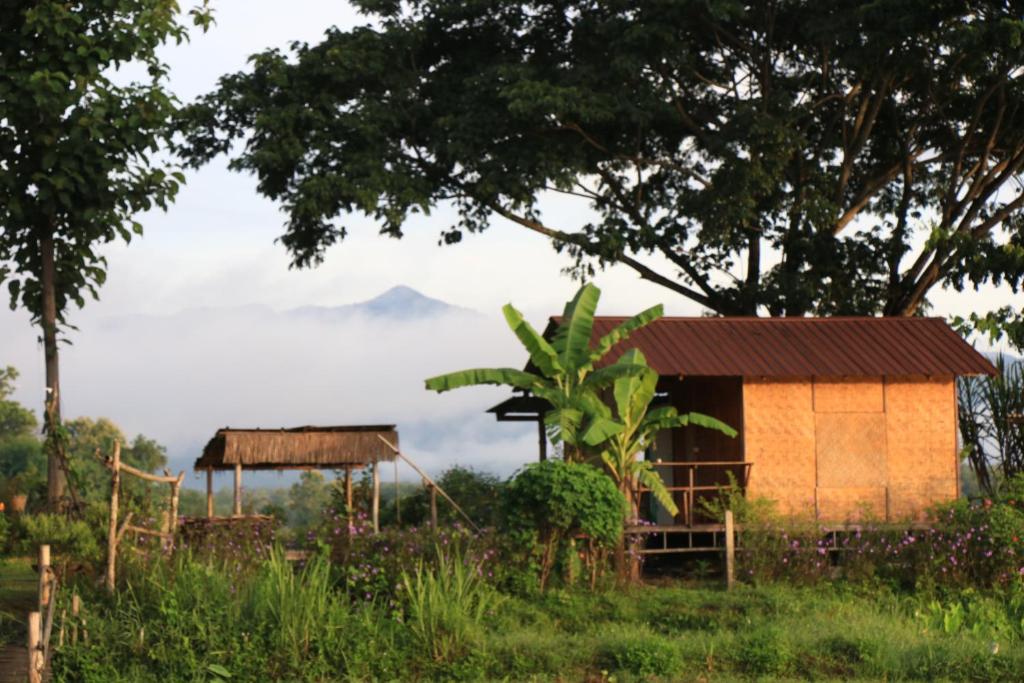 Kaewma farmstay