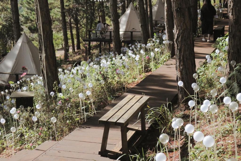 Lavender Glamping and Resorts Da Lat
