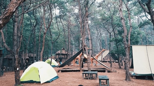Pini Glamping
