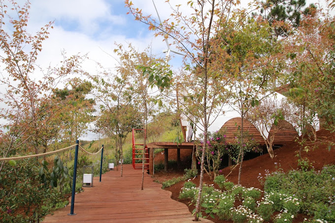 Trạm Mây Glamping