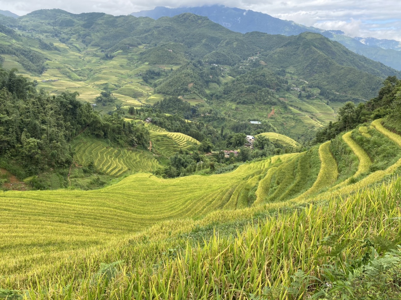 Leading By Nature - Chinh Phục Nhìu Cồ San 2965